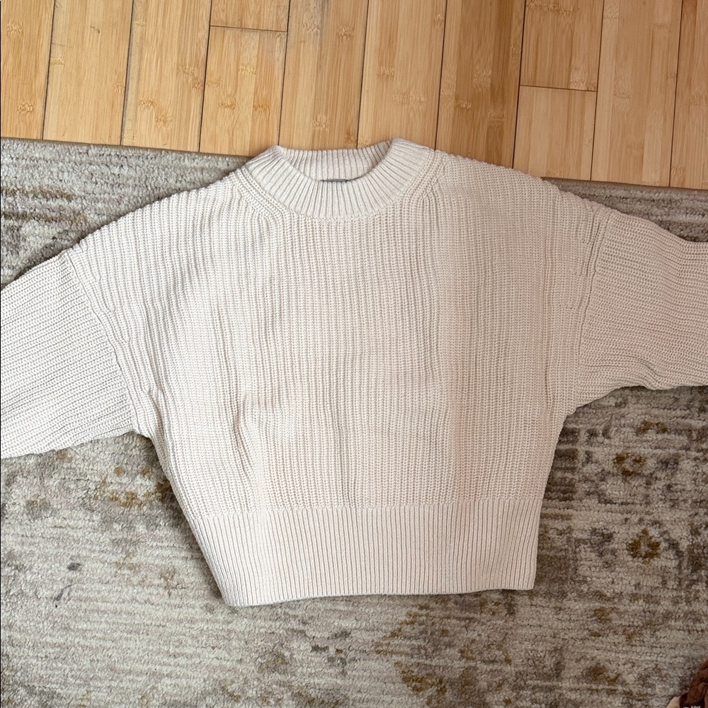 Everlane Knit Cozy Cream Sweater